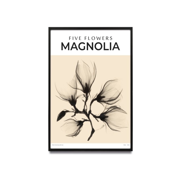 Five flowers - MAGNOLIA