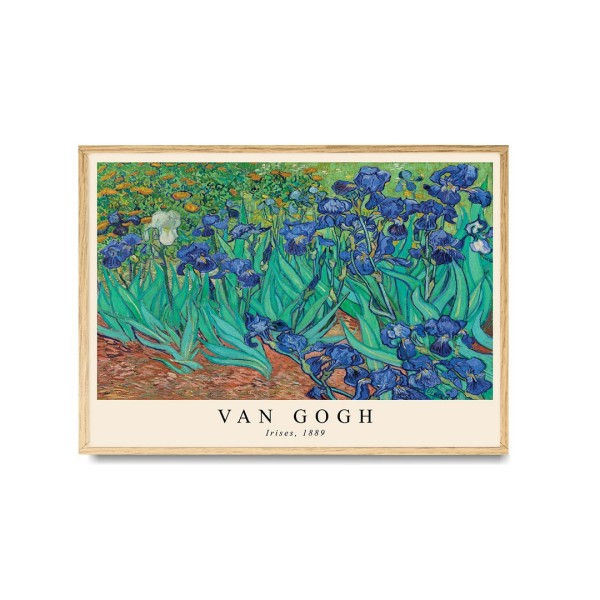 Vincent Van Gogh - Irises