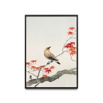 Ohara Koson - Oiseau de peste japonaise sur érable