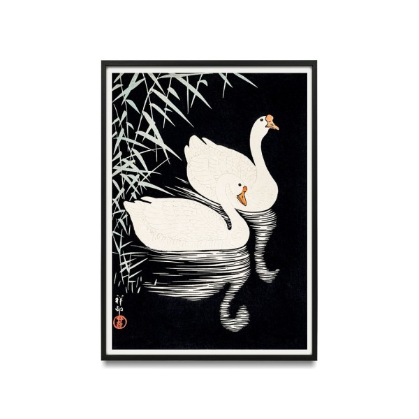 Ohara Koson - White Chinese Geese