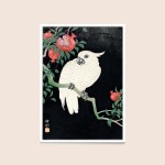 Ohara Koson - Cockatoo and Pomegranate